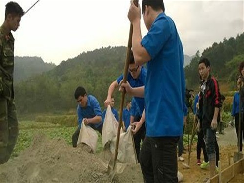 Lực lượng thanh niên tình nguyện Ban quản lý khu kinh tế tham gia làm đường bê tông tại xóm Tàng Cải, xã Nam Tuấn, huyện Hòa An